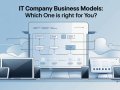 IT Company Business Models: Which One is Right for You?