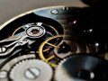 The Role of Developers in QA: Unit, Integration, and Architectural Tests