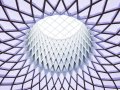 Striking a Balance: Balancing Agility and Structure as a Technology Leader