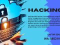 085219507377 (WA) Training Hacking Areta Training Center Aceh Singkil