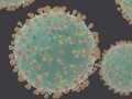 Can We Wipe Out All Coronaviruses for Good?