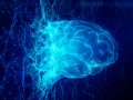 Apple wants to connect thoughts to iPhone control – and there's a very good reason for it