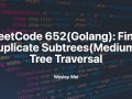 LeetCode 652(Golang): Find Duplicate Subtrees(Medium): Tree Traversal