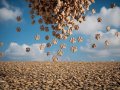 Paws Airdrop Total Supply Explained and Key Distribution Details