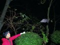 How China’s “Bat Woman” Hunted Down Viruses from SARS to the New Coronavirus