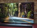 LG reveals US pricing for the LG G5 and LG C5 OLED TVs, and it's great news for OLED fans
