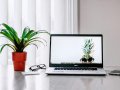 Top 10 Laptops for 2024: A Comprehensive Review