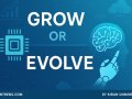 Grow or Evolve