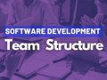 Software Development Team Structure