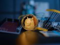 DOGE Digs Deeper: Building Beyond the Meme