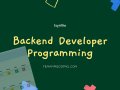 Backend Developer Programming
