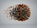 Your Immune System Evolves To Fight Coronavirus Variants