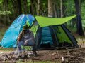 Why Nature Should be Your Savior from Technology