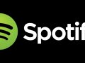 Spotify: Revolutionizing the Music Streaming Industry
