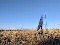 SpaceX’s Starlink to Receive $886 Million From FCC to Improve Rural Broadband