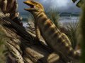 Oldest Ever Lizard Dates Back 240 Million Years And Rewrites Reptile History