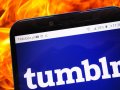 Archivists Say Tumblr IP Banned Them For Trying to Preserve Adult Content