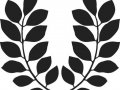 The Illusion of Control in Web Design (2018)