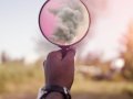 The Cloud is Here: The Essential Skills Developers Need Today
