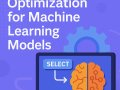 SQL Query Optimization for Machine Learning Models