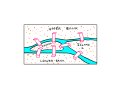 How To Actually Solve The Königsberg Bridge Problem?