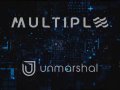 Strategic Partnership Between Multiple Network and Unmarshal AI