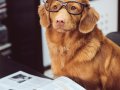 Capítulo 2 — Mantendo as aparências — Como ser um programador melhor