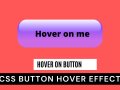 CSS Hover | css hover effect | css button hover effects
