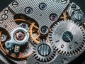 Unleashing the Power of Go