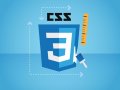 10 Best CSS Online Courses for Beginners and Experienced Developers