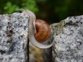 The Depressing Challenges Facing The Julia Programming Language In 2021