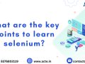 The Art of Selenium Mastery: A Guide to Effective Web Automation Testing