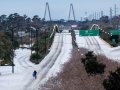 Winter storm spreads peril, snowy fun across Deep South