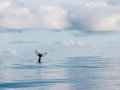 Run Postgres from Docker
