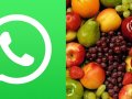 Building a WhatsAPP Bot using FastAPI — Python — Fruits Bot