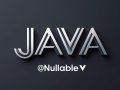 Why @Nullable Should Never Be Used with Primitive Types in Java