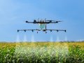 Top Agrifood Tech Trends to Watch in 2025: Innovations in Agriculture Technology