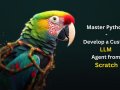Master Python: Develop a Custom LLM Agent from Scratch