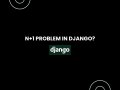 N+1 problem in Django?