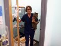 Your questions about cats and bird flu risk, answered