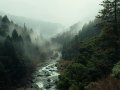The Magic of Asynchronous JavaScript