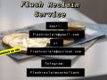 How to Recover your money from scammer pretending to be William Bradley Pitt