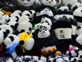 Pandas for data analysis