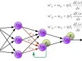 backpropagation : the secret sauce of deep learning