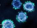 The mutation that helps Delta spread like wildfire