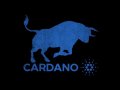 Cardano Will Be Parabolic In 2022. The Biggest Opportunity To Buy Now.