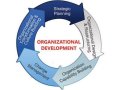 Major Benefits of Organizational Development