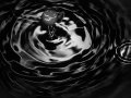 Cracking The Dark Pool Code: Using Random Forest For S&P 500 Predictions