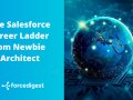 The Salesforce Career Ladder: From Newbie to Architect​