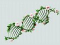 The Real-World Impact of CRISPR: How Gene Editing is Revolutionizing Medicine